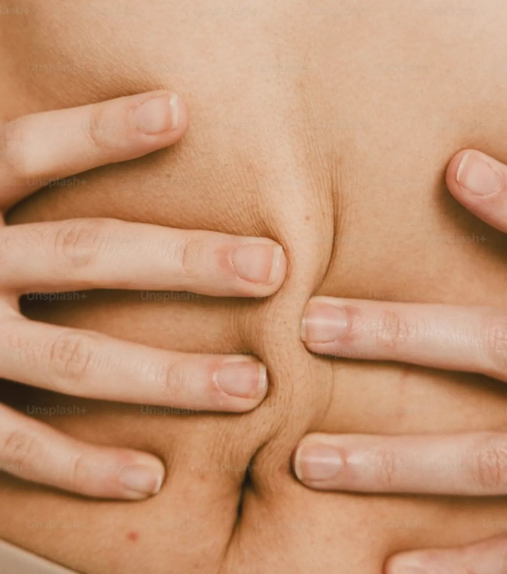Support Liver Health & Energy: Akka Superbiotics